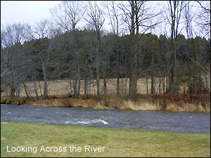 Looking across the river