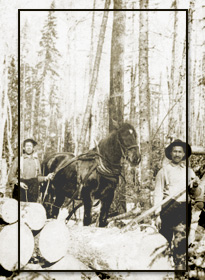 logging
